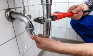 DIY Plumbing Fixes vs. Professional Services